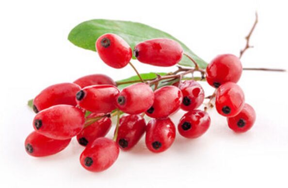 Barberry berries avoid alcohol