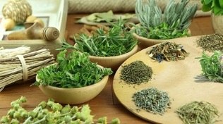 Herbs for alcoholism
